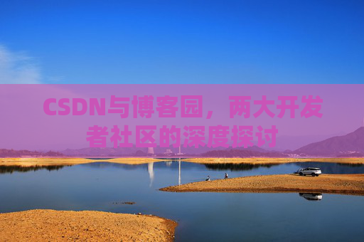 CSDN与博客园，两大开发者社区的深度探讨